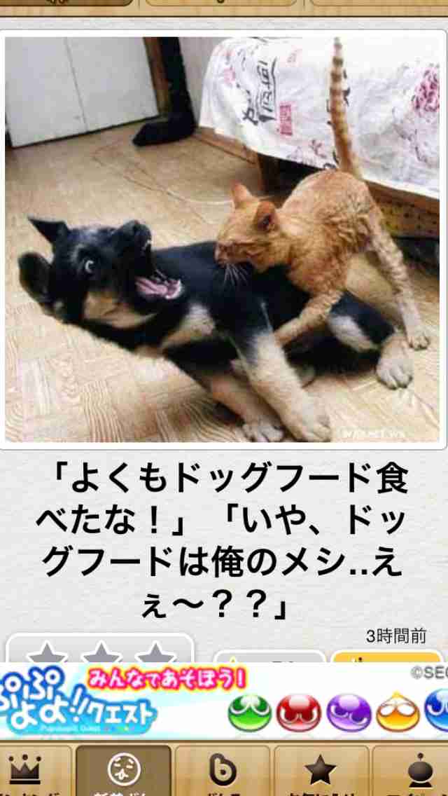 【今年に入ってから】なんとなく保存した画像。