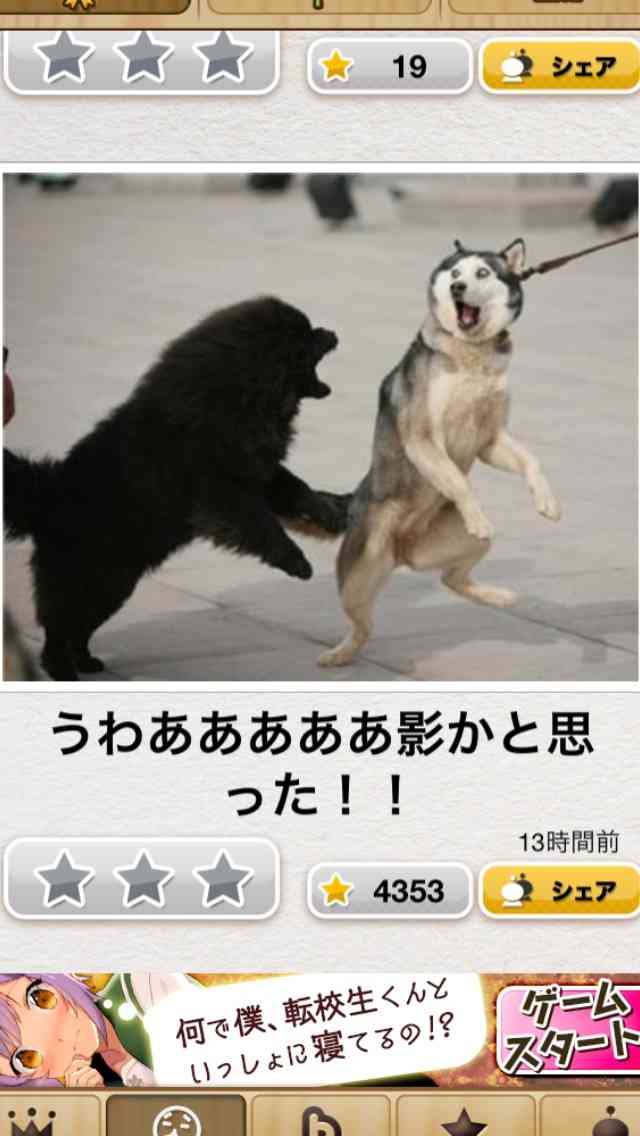【今年に入ってから】なんとなく保存した画像。