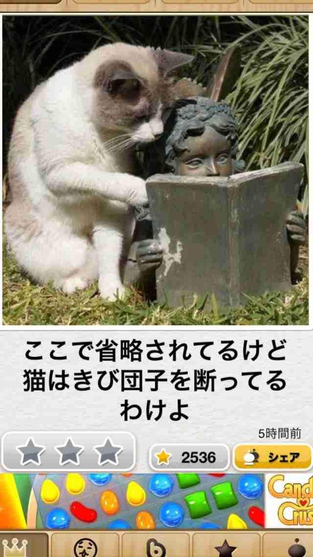 【今年に入ってから】なんとなく保存した画像。