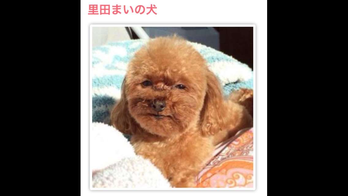 【今年に入ってから】なんとなく保存した画像。