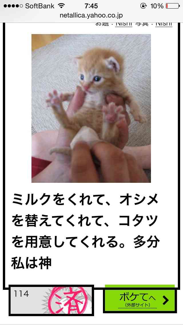 【今年に入ってから】なんとなく保存した画像。