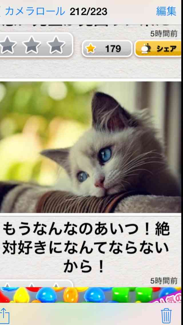 【今年に入ってから】なんとなく保存した画像。