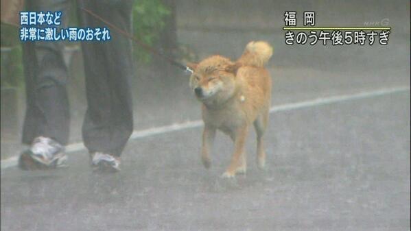 【今年に入ってから】なんとなく保存した画像。