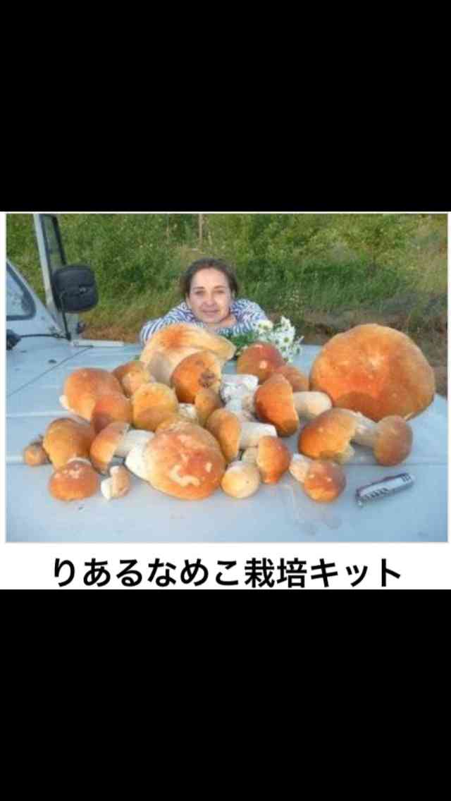 【今年に入ってから】なんとなく保存した画像。