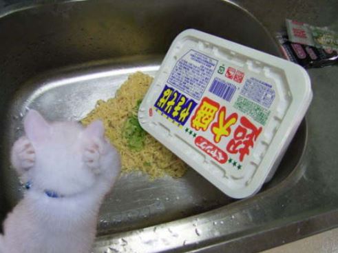 【今年に入ってから】なんとなく保存した画像。