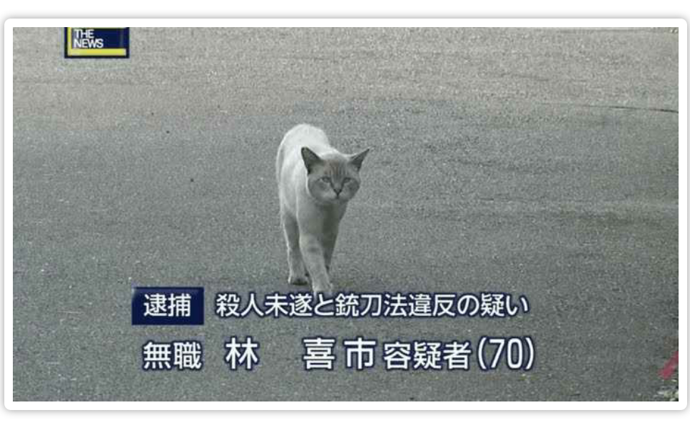 【今年に入ってから】なんとなく保存した画像。