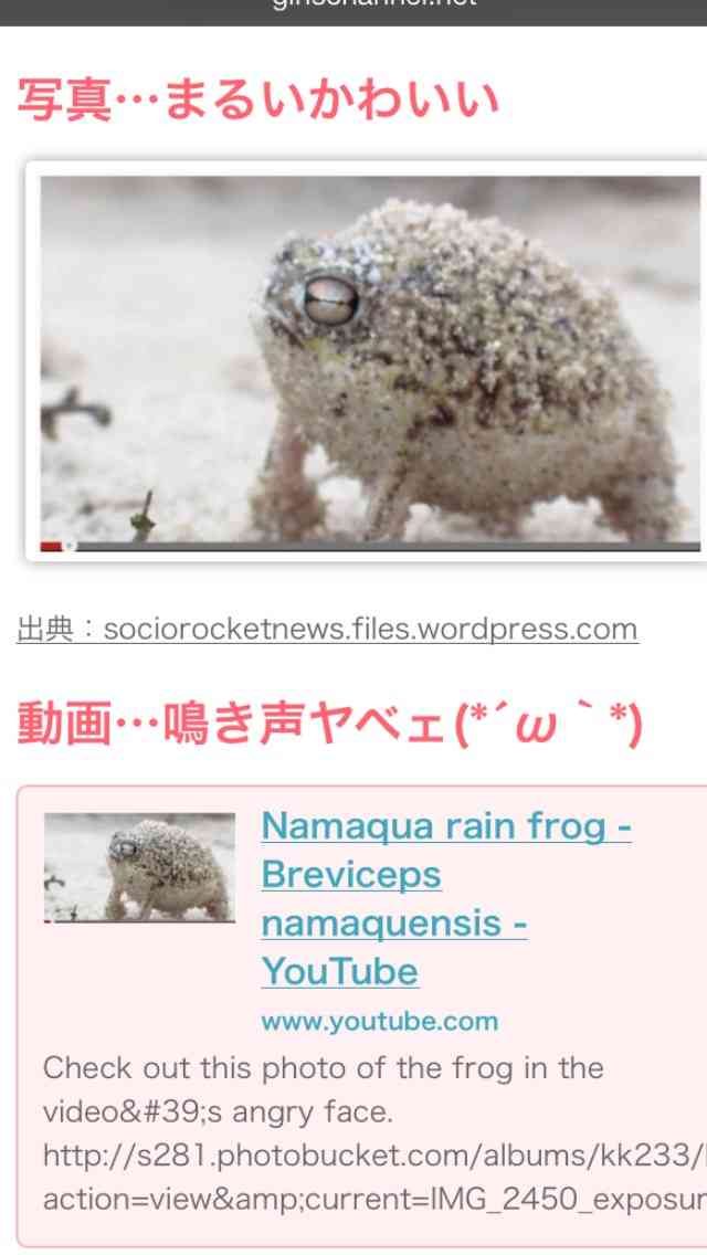 【今年に入ってから】なんとなく保存した画像。