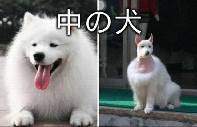 【今年に入ってから】なんとなく保存した画像。