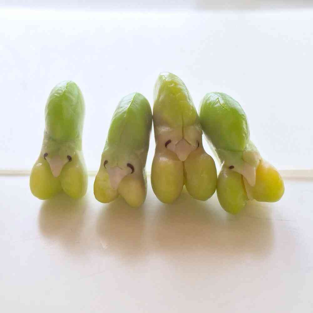 【今年に入ってから】なんとなく保存した画像。