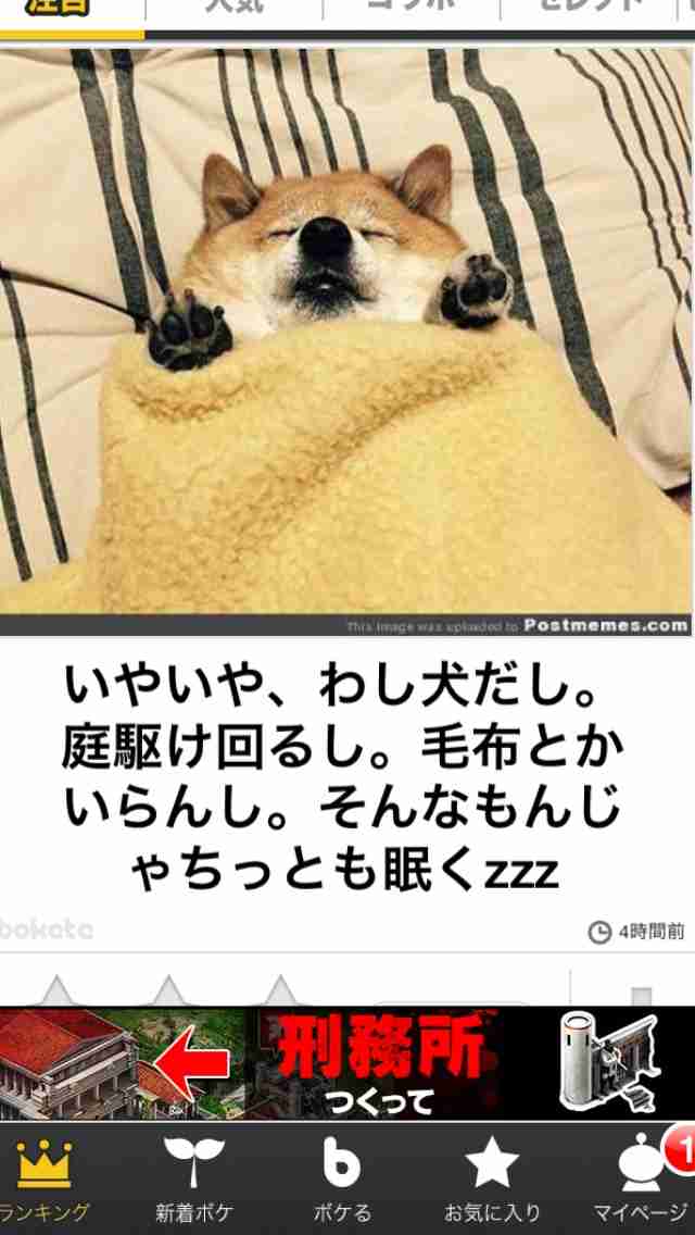 【今年に入ってから】なんとなく保存した画像。