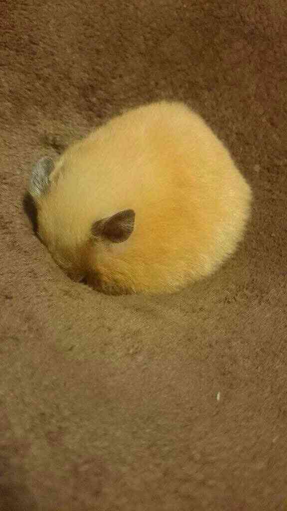 【今年に入ってから】なんとなく保存した画像。