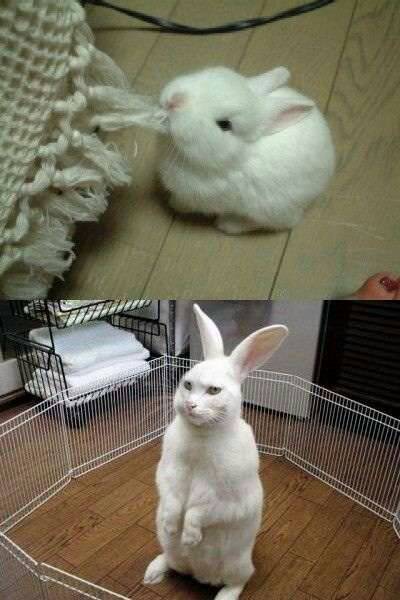 【今年に入ってから】なんとなく保存した画像。