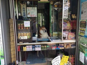 昔ながらのお店が好きな人！