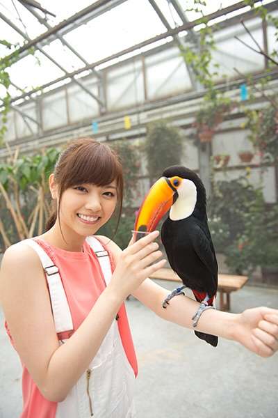 乃木坂46全員でドラマ初主演 ソフトボールチームの“青春”描く