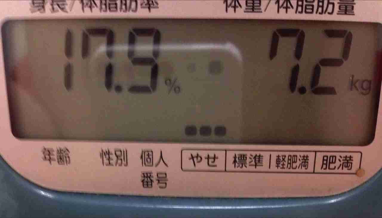 今の体重って何キロ？嘘なしで！