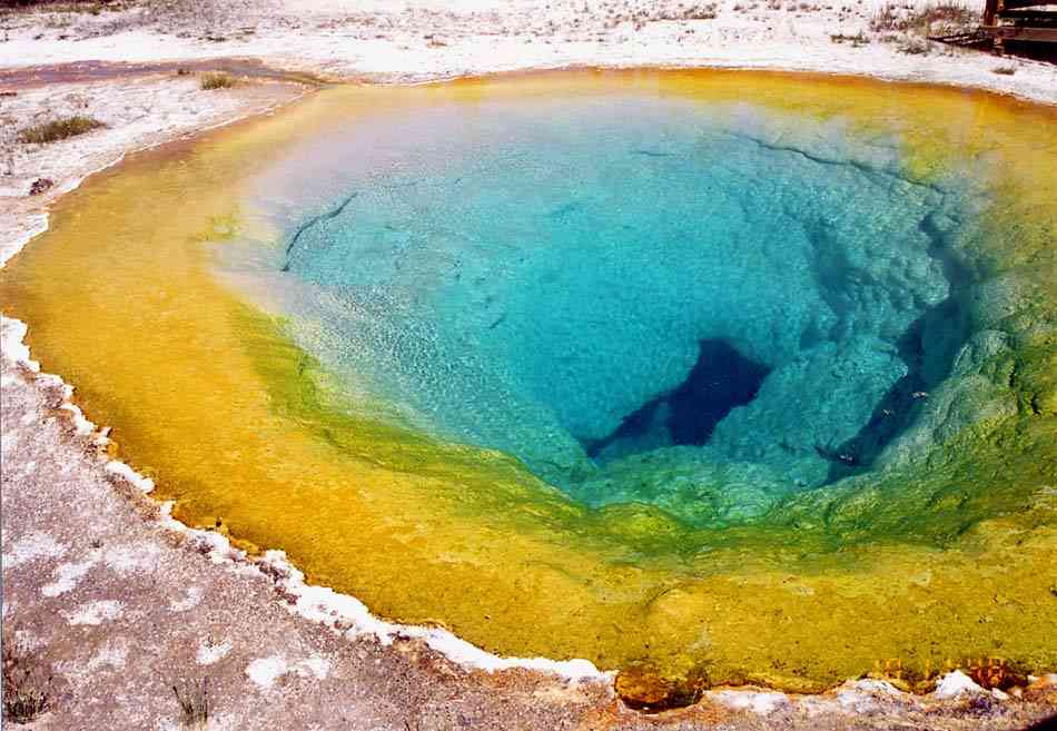 “2800億分の1”サイズのピザ、速水もこみちが世界遺産をイメージ