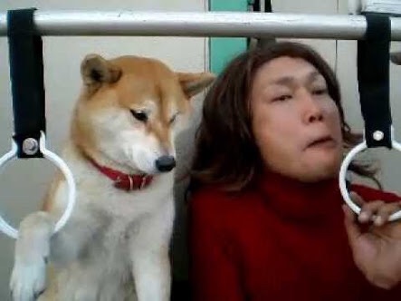 YouTubeで笑えるもの教えてください