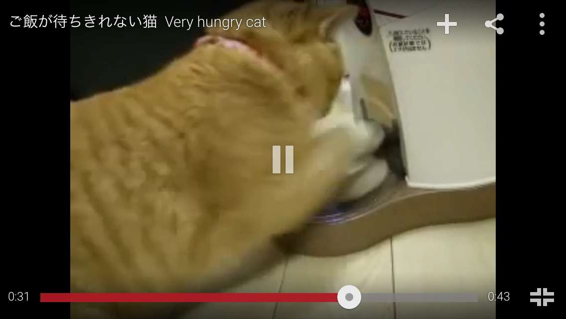 YouTubeで笑えるもの教えてください
