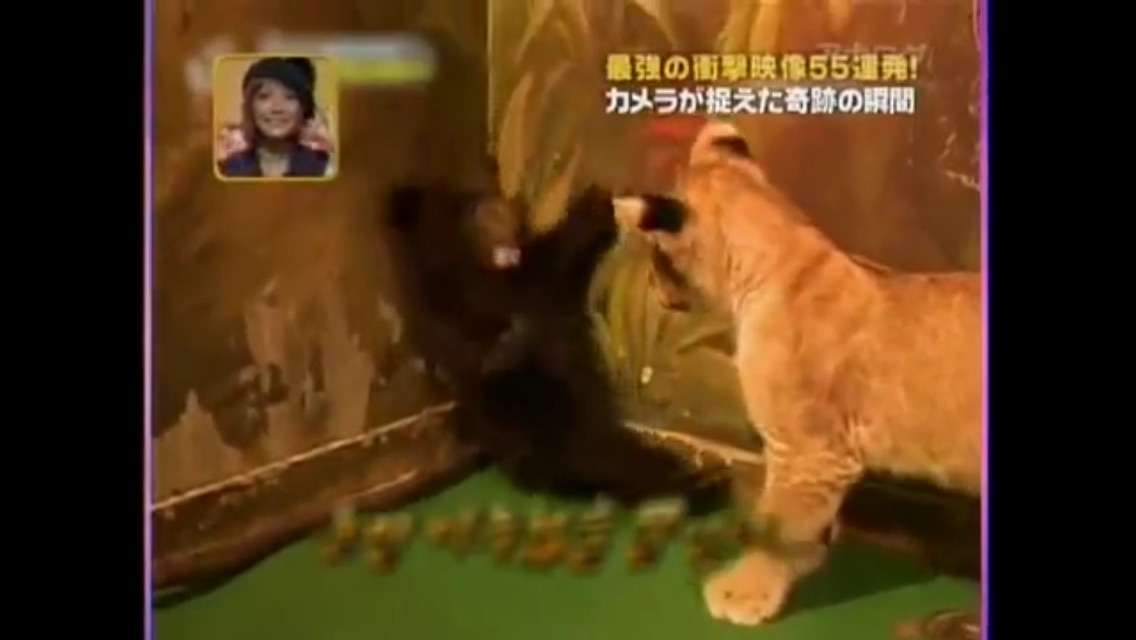 YouTubeで笑えるもの教えてください