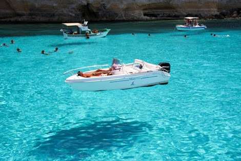 一度で良いから見てみたい!