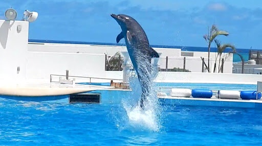 久々に見かけるとテンション上がるもの