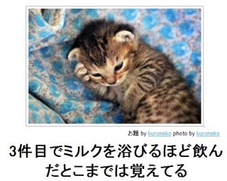 感傷にひたるトピ