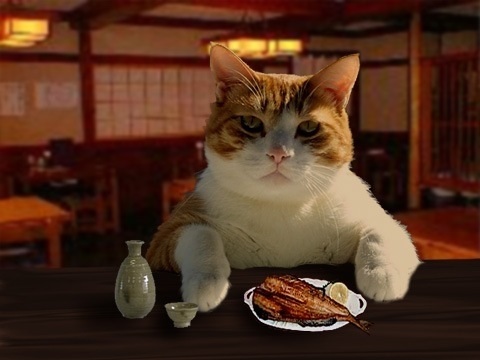 感傷にひたるトピ