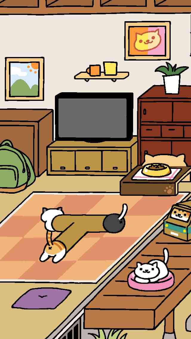 猫の扱い方教えて下さい！
