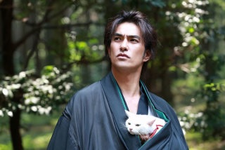 猫の扱い方教えて下さい！