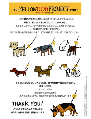 犬のノーリード(若しくは伸縮性のあるリード)、どう思いますか?