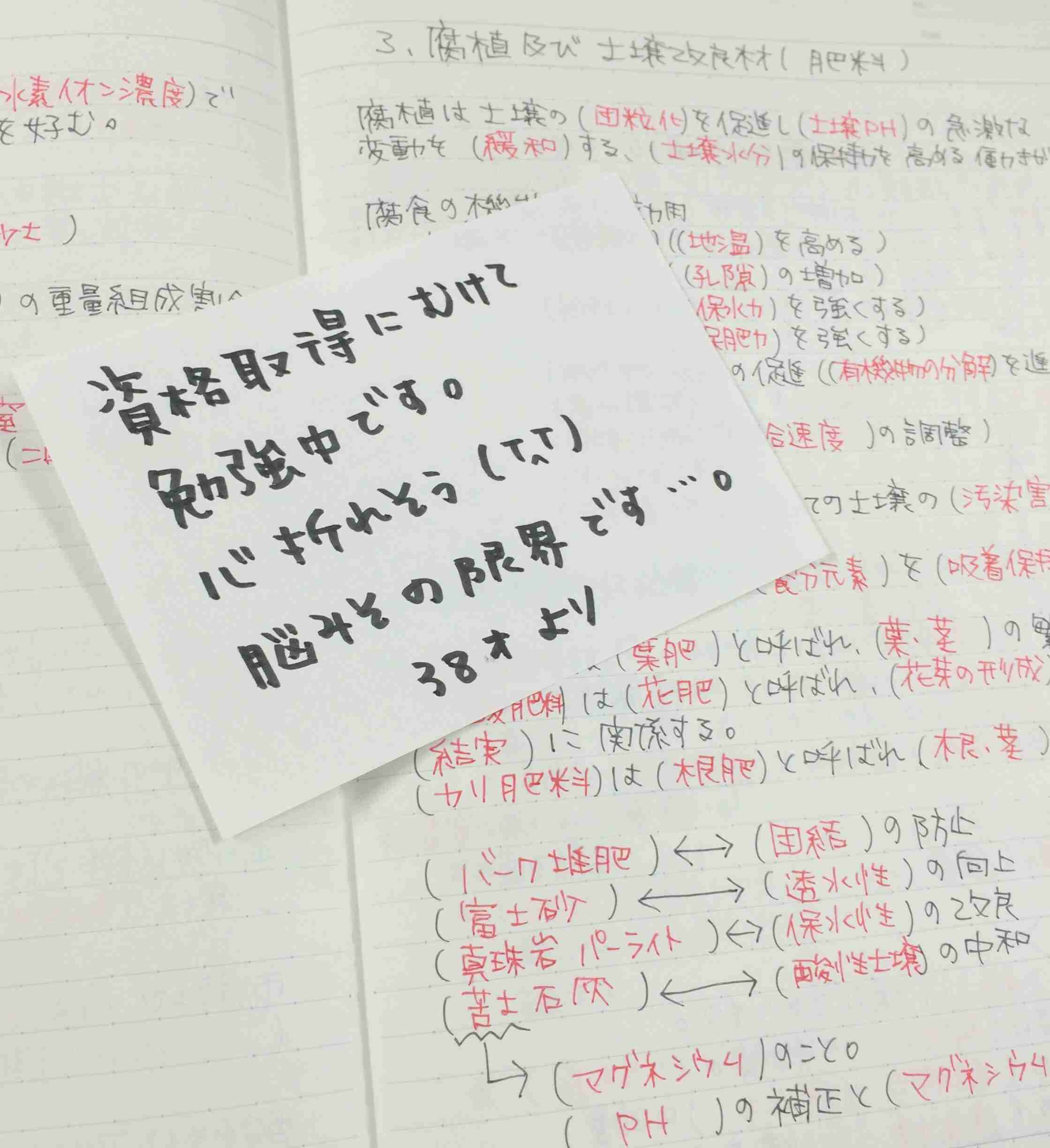 筆談するトピ。