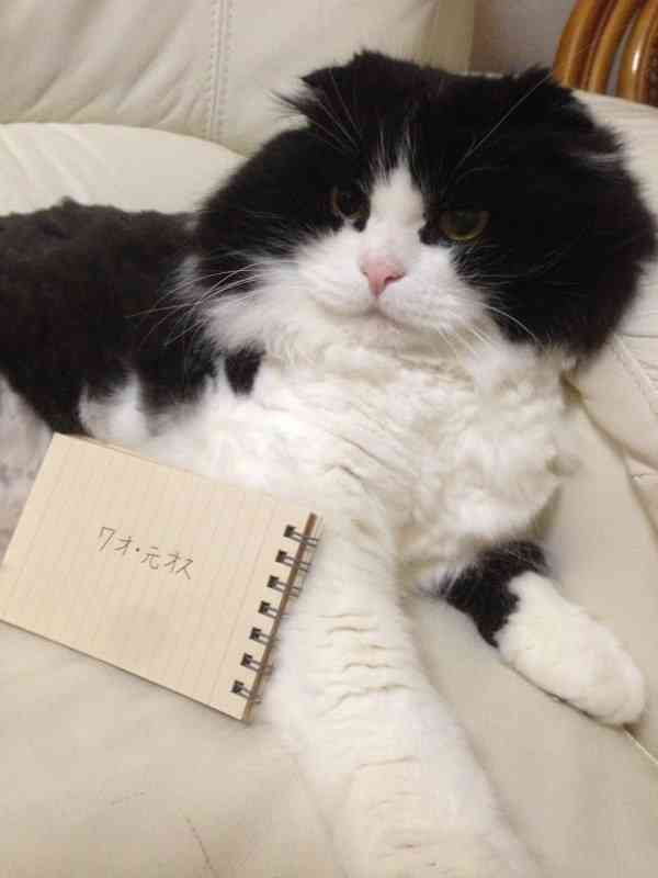 筆談するトピ。