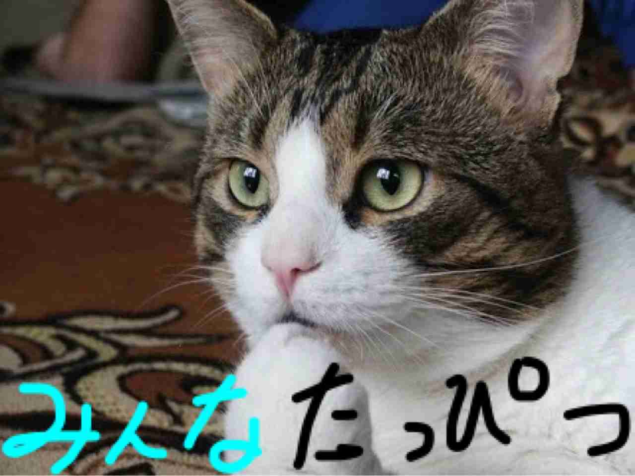 筆談するトピ。