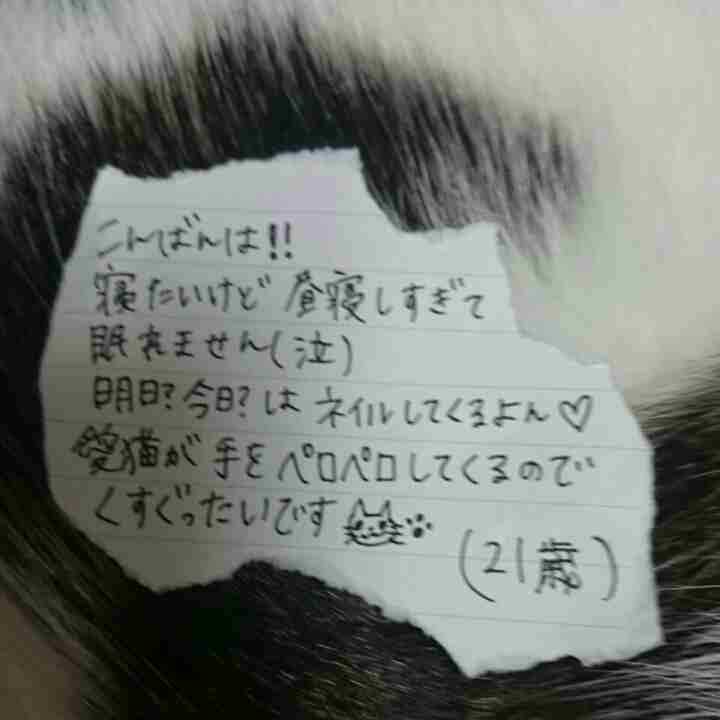 筆談するトピ。