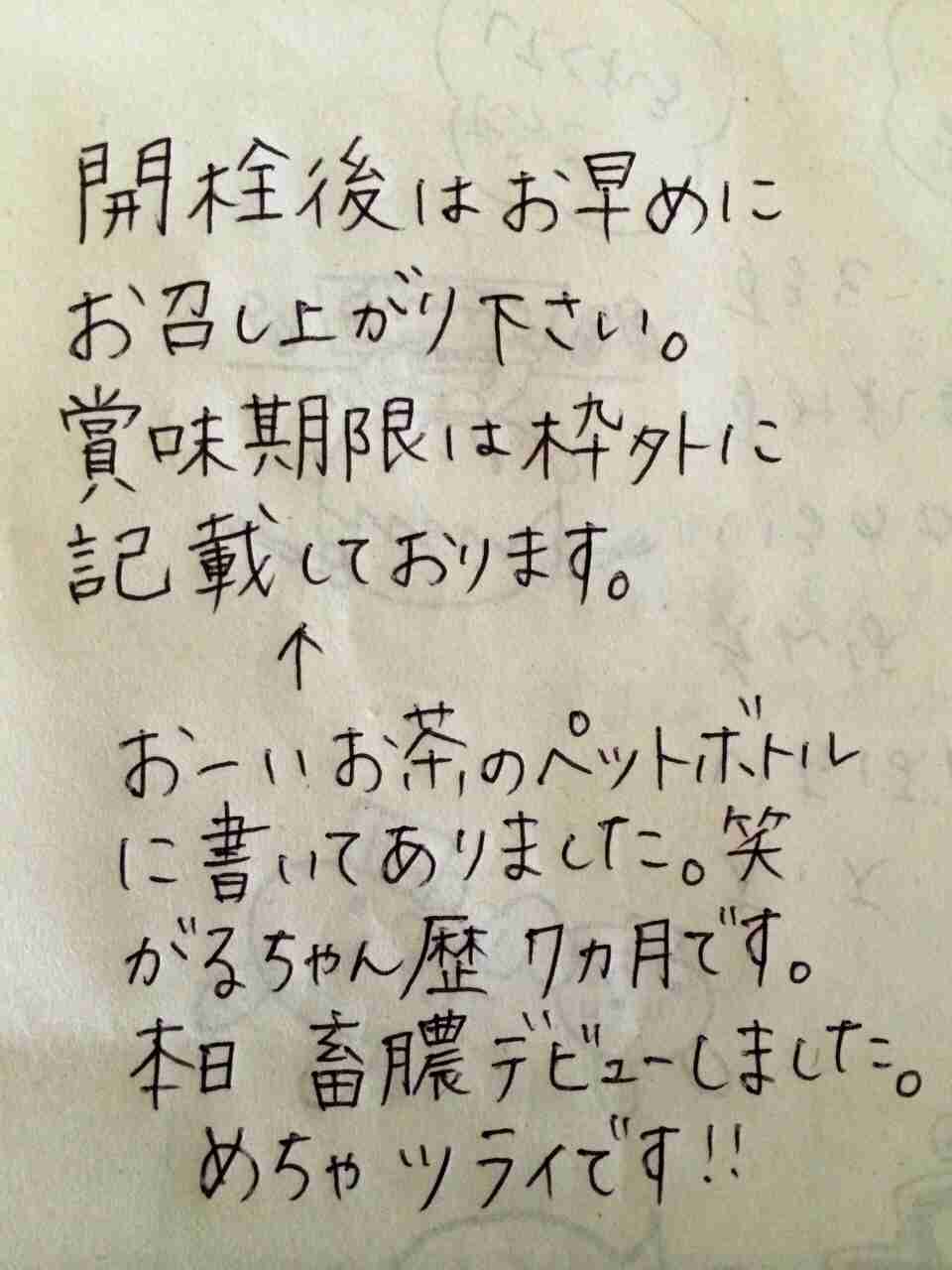 筆談するトピ。