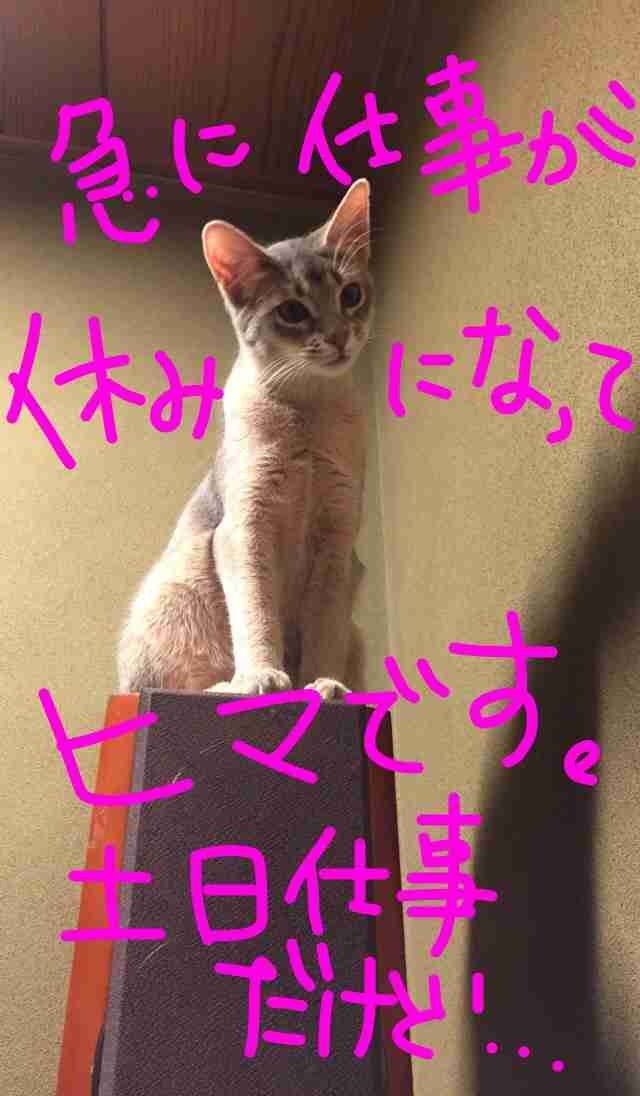 筆談するトピ。