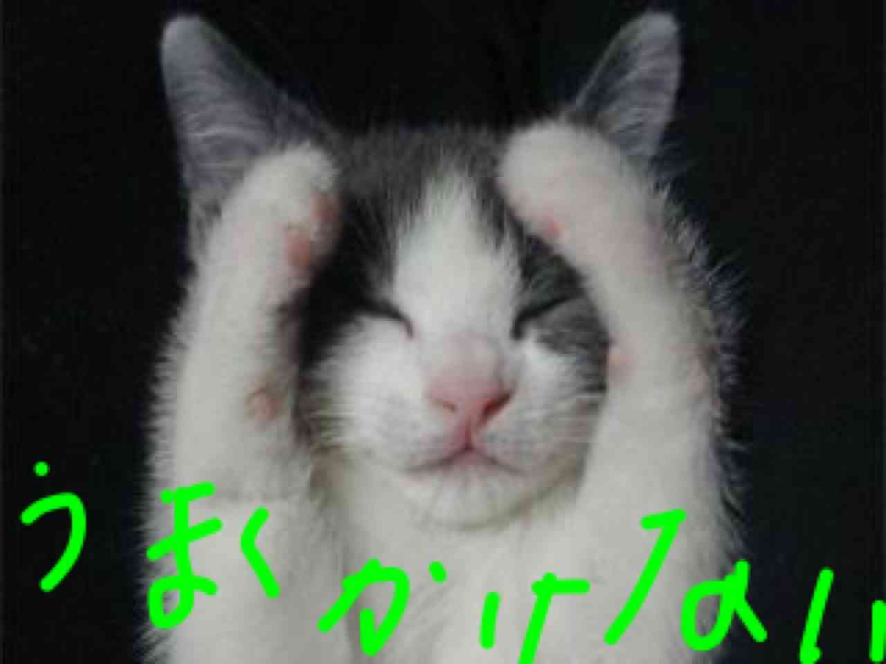 筆談するトピ。