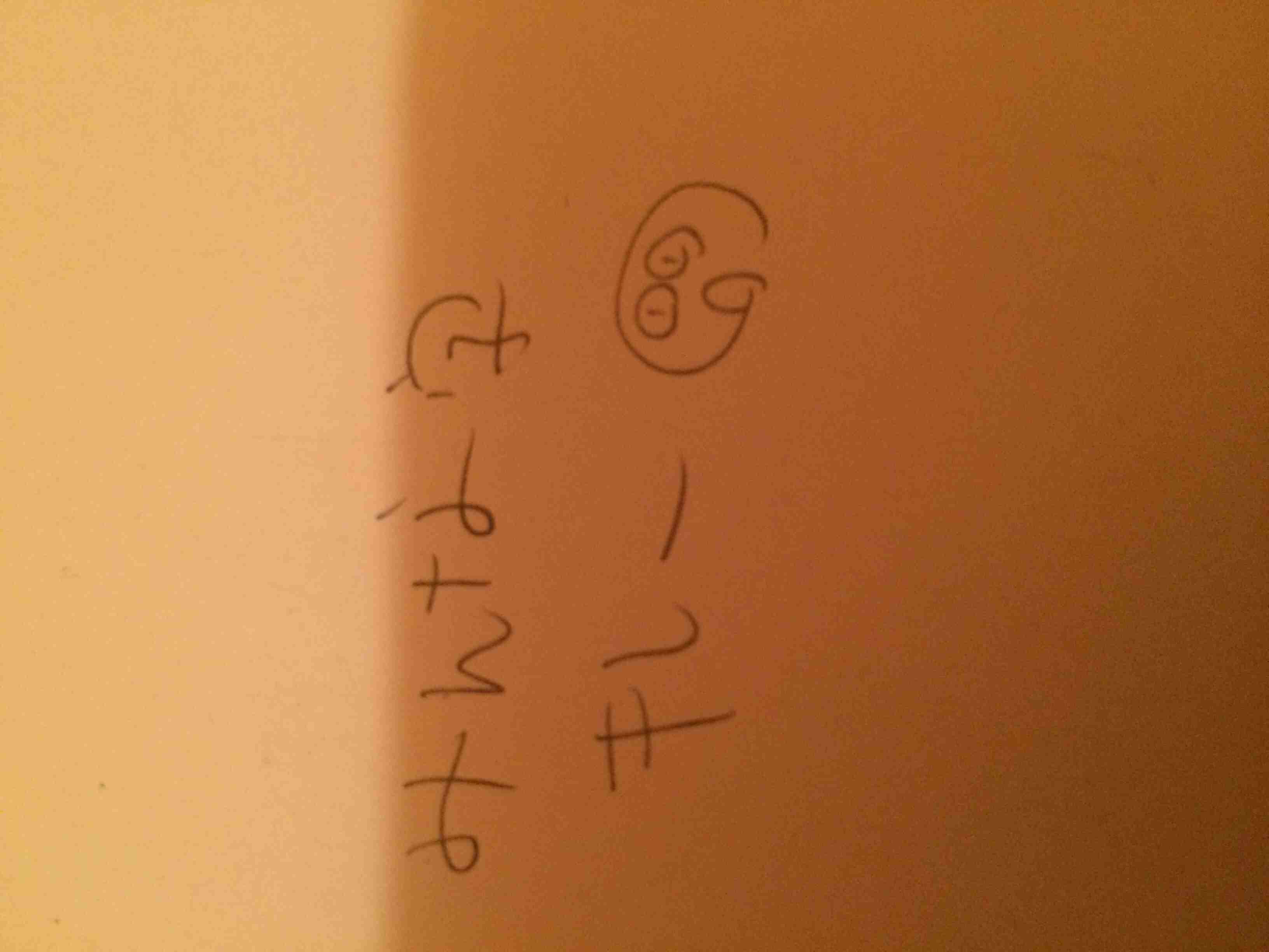 筆談するトピ。