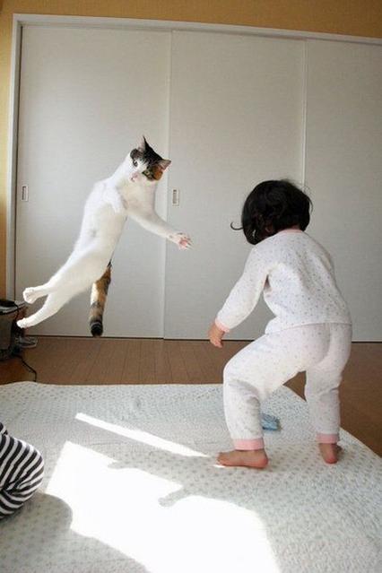 衝撃度が高い画像だけが集まるトピ