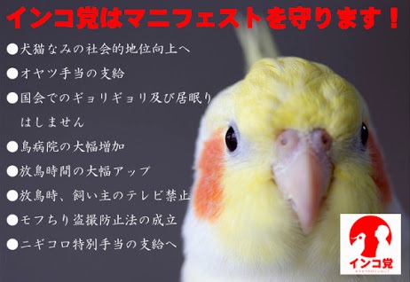 ガルちゃん休憩室〜♪