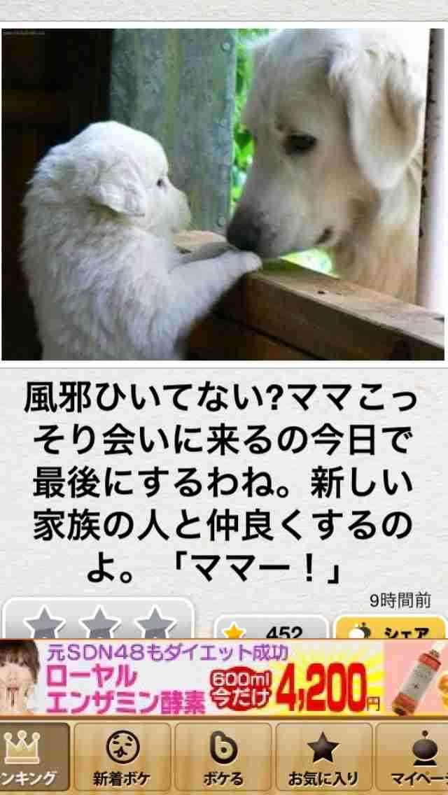 ガルちゃん休憩室〜♪