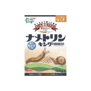 お家でお花育ててる方、何の花を育ててますか?