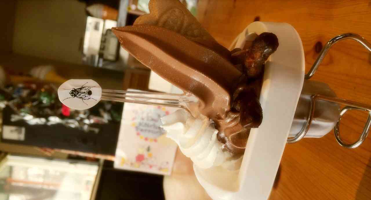死ぬまでに一度は味わうべき！世にも奇妙な