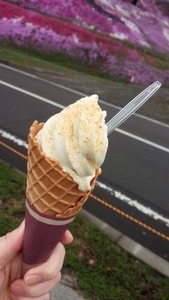 死ぬまでに一度は味わうべき！世にも奇妙な