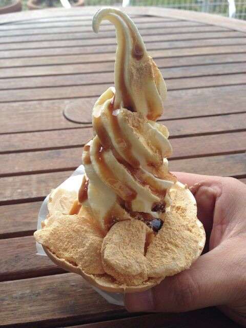 死ぬまでに一度は味わうべき！世にも奇妙な