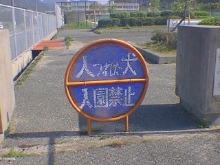 変なものが好きな人