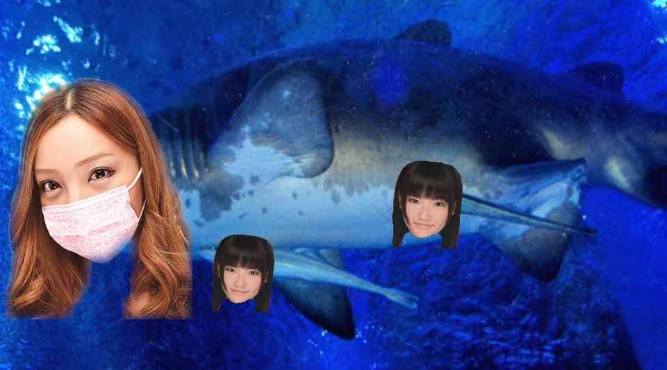 AKB48島崎遥香 ｢野球部の汗は臭そう｣｢テニスやってる男子はサッカーにも野球にも入れなかった落ちこぼれ｣→炎上