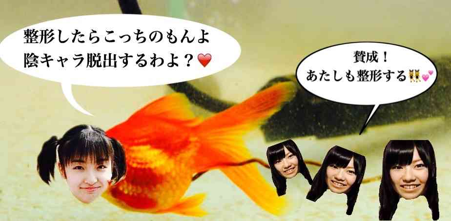 AKB48島崎遥香 ｢野球部の汗は臭そう｣｢テニスやってる男子はサッカーにも野球にも入れなかった落ちこぼれ｣→炎上