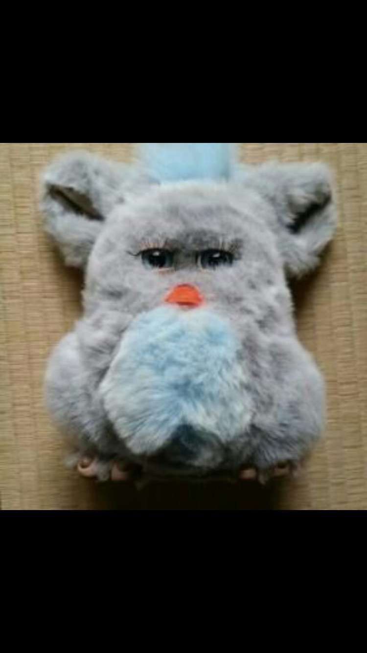 ゆる〜い画像を貼るトピ
