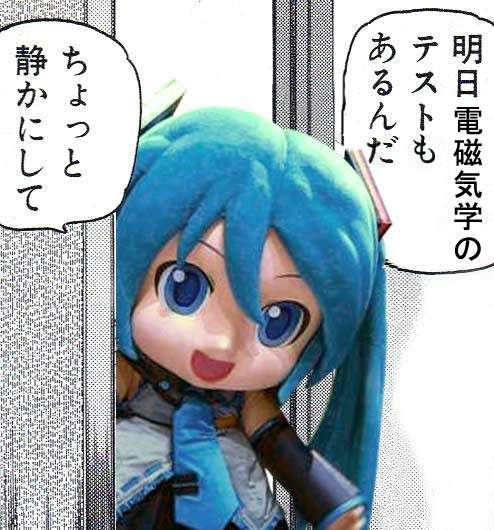 事故で親を失った子ギツネの親代わりをするコリー犬